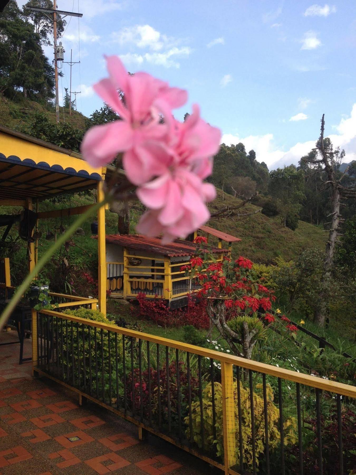 Finca Cardonales Salento Dış mekan fotoğraf