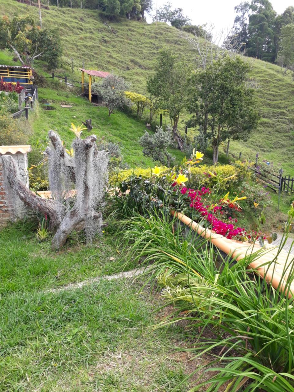 Finca Cardonales Salento Dış mekan fotoğraf